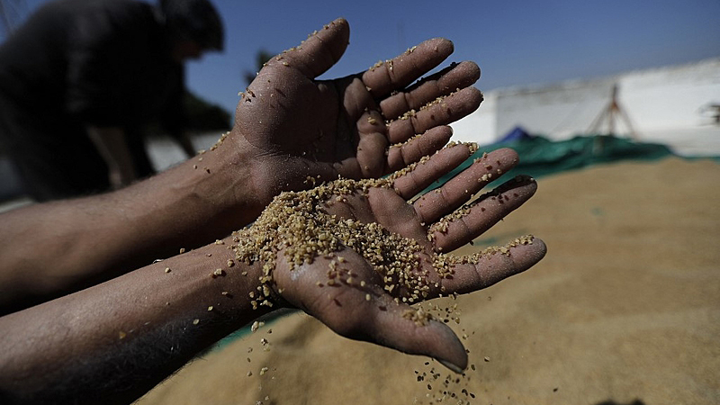 (FILES) In this file photo taken on July 15, 2020 Wheat groats are milled during bulgur preparation in the Lebanese southern town of Marjayoun. - Russia's invasion of Ukraine could mean less bread on the table in Egypt, Lebanon, Yemen and elsewhere in the Arab world where millions already struggle to survive. The region is heavily dependent on wheat supplies from the two countries which are now at war, and any shortages of the staple food have potential to bring unrest. (Photo by JOSEPH EID / AFP)