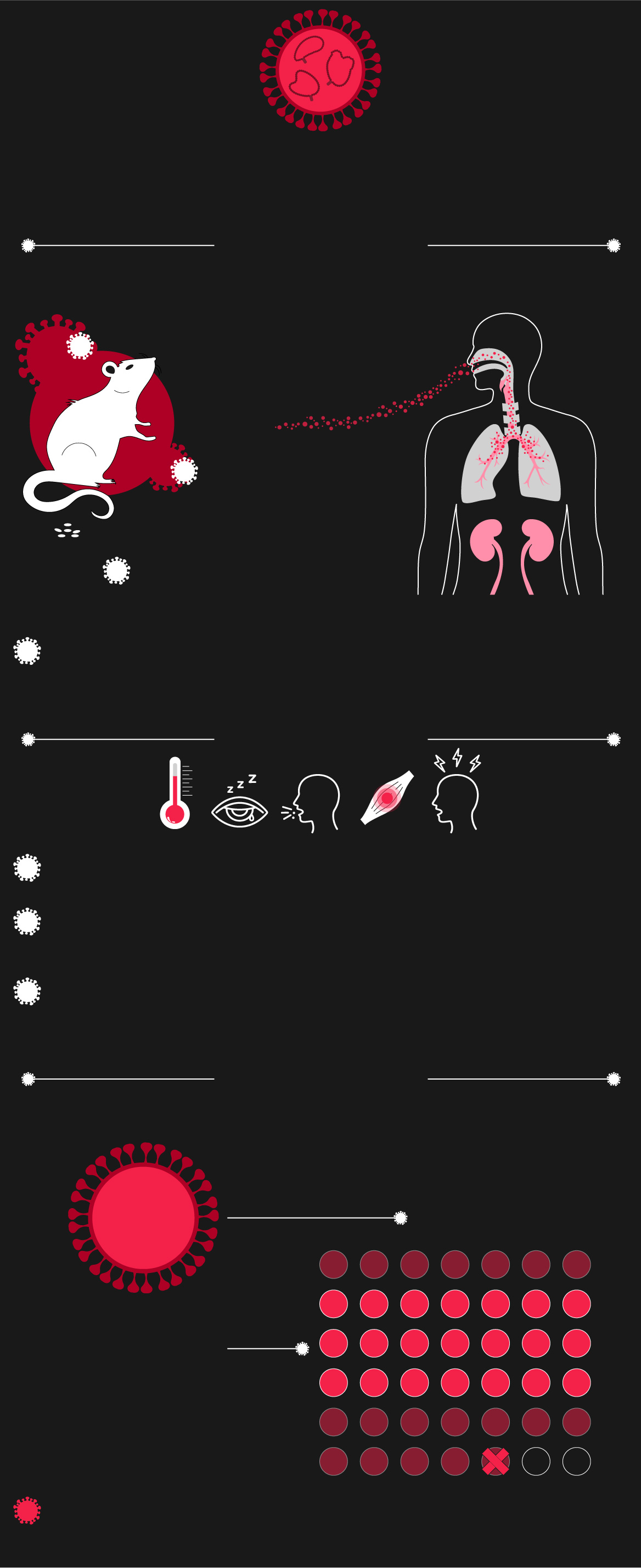 260507_Hantavirus_Symptoms_Timeline-large.jpg