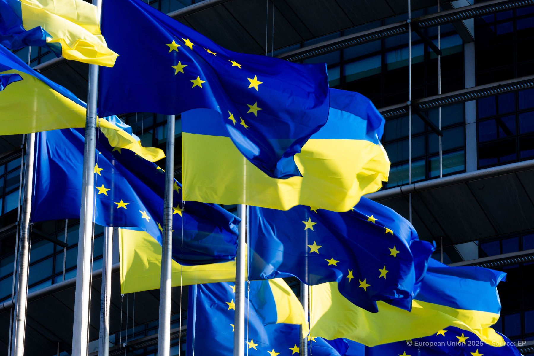 44333333_1.jpg