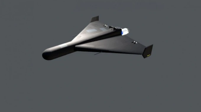 4958e5f-45e68c9088365858--1-_690x387.webp