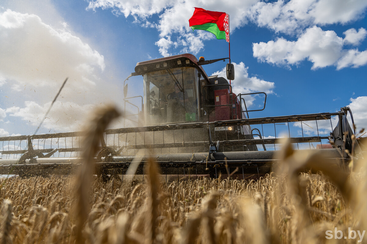 Belarus_agriculture.jpg