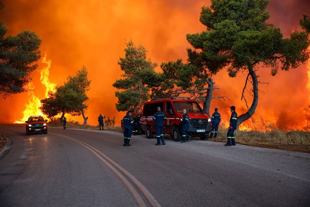 Fotia1_1.JPG