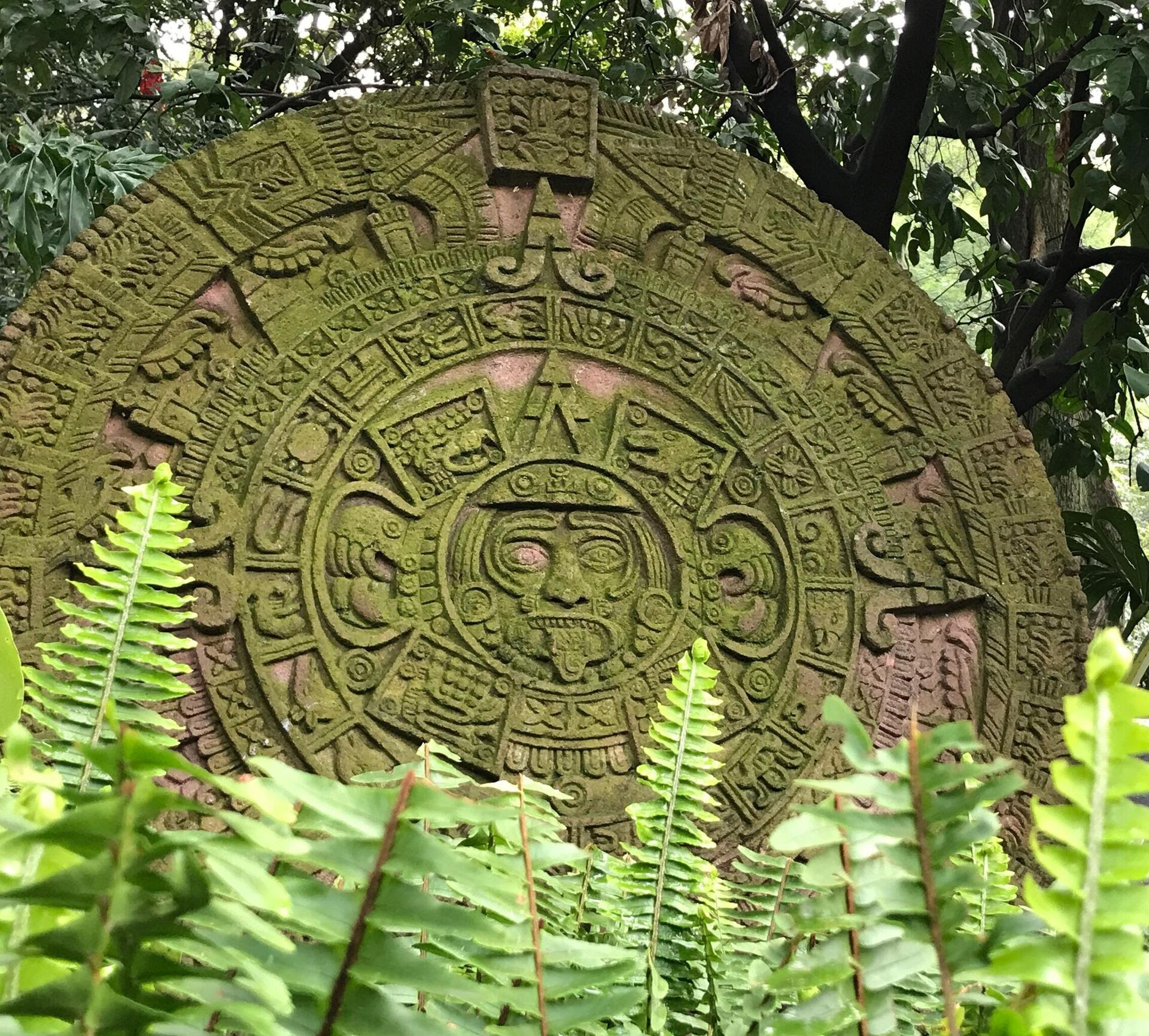 Maya4.jpg