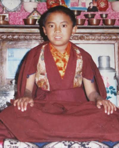 Yongey_Mingyur_Rinpoche_3.jpg