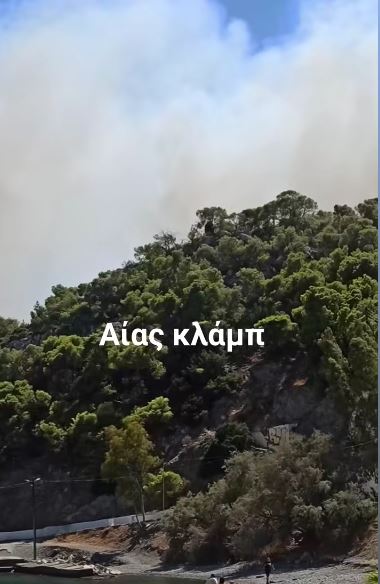 aias2.JPG