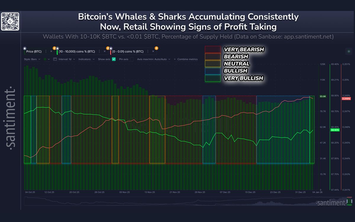 bitcoin_whales_and_sharks.jpg