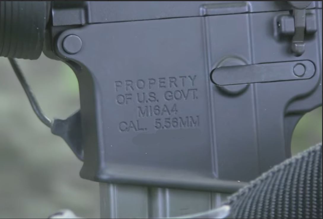 colt2_3.JPG