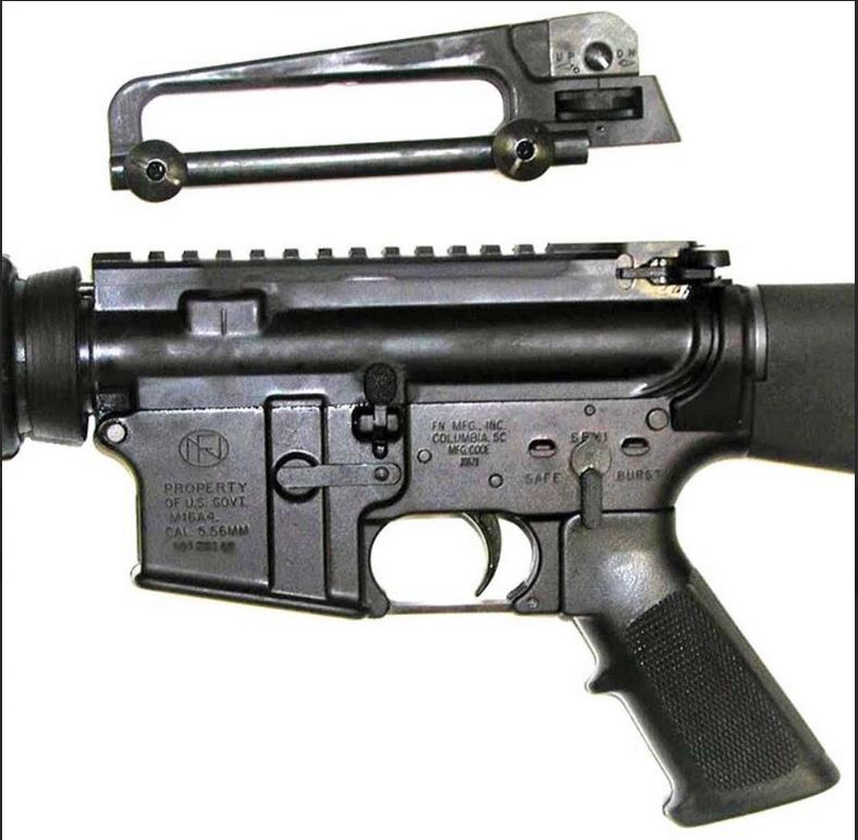colt3_2.JPG
