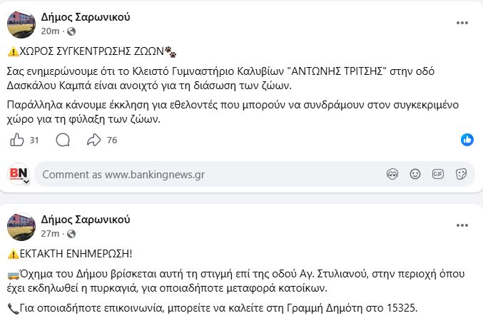 dimos2.JPG