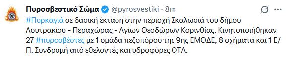 fotia2_2.JPG