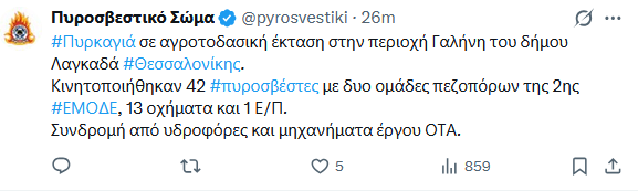 fotia_1.png