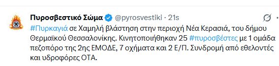 fotia_41.JPG