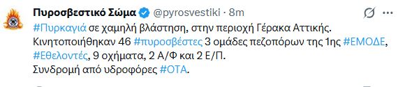 fotia_43.JPG
