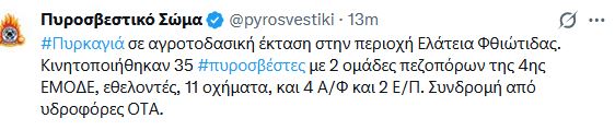 fotia_44.JPG