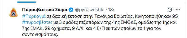 fotia_46.JPG
