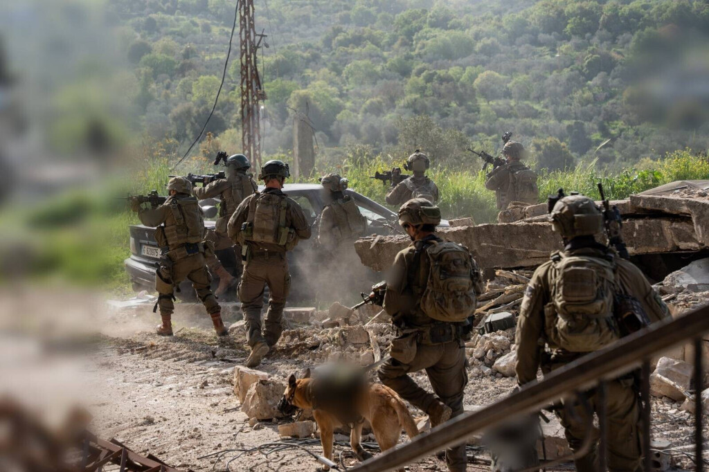 idf_3_1.jpg