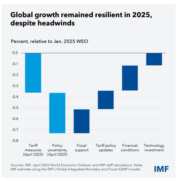 imf.JPG