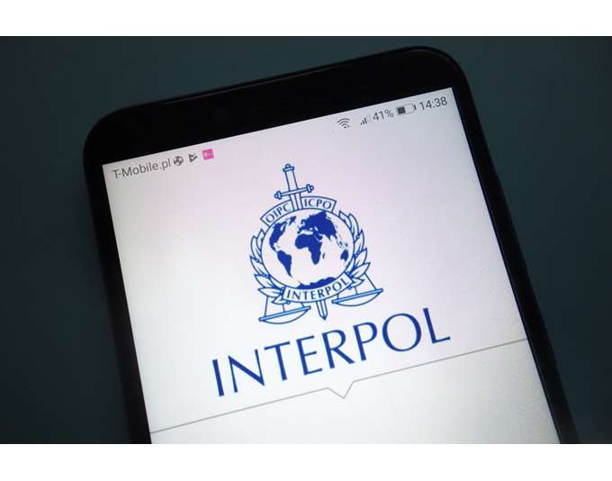 interpol_2.jpg