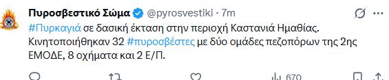 kastania.JPG