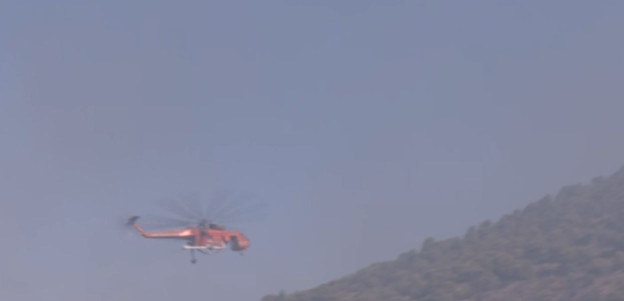 kt7.JPG