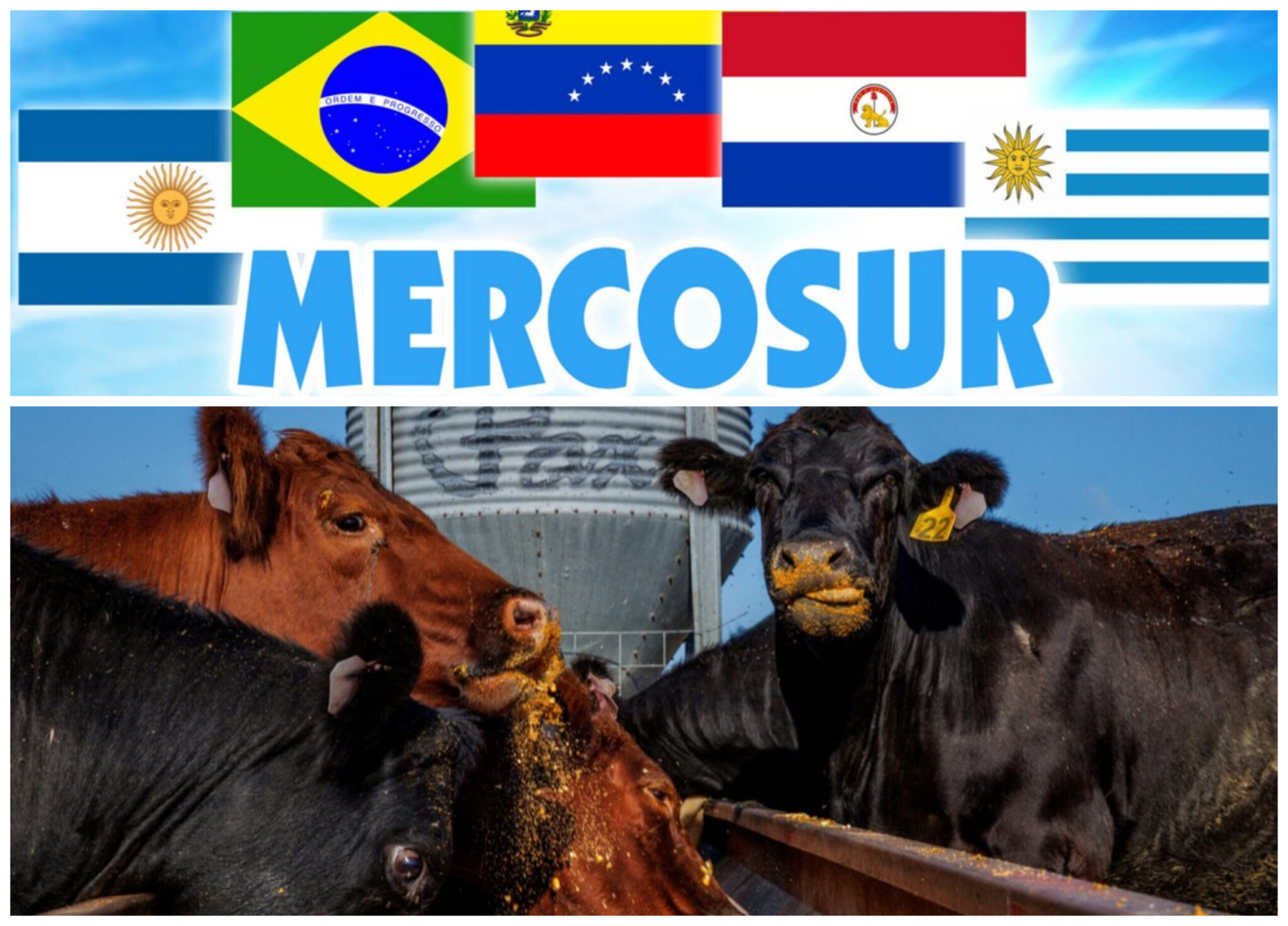 mercosur1-2048x1473.jpg