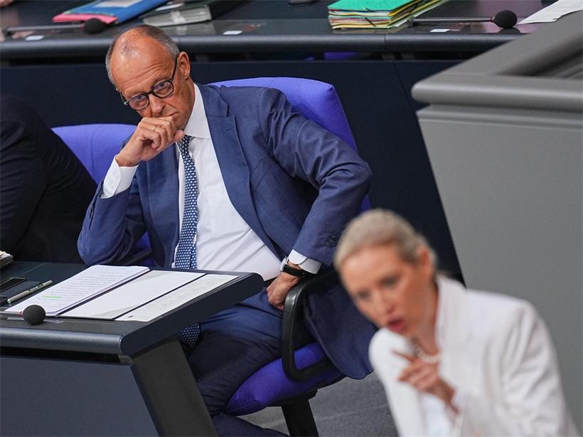 merz_weidel.jpg