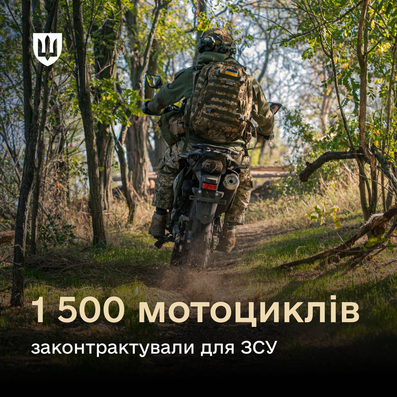 moto.jpg