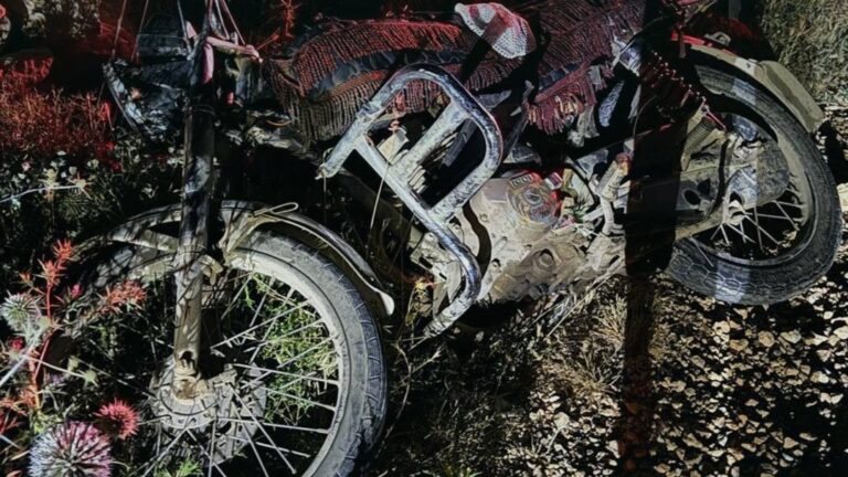 motor_1.jpg