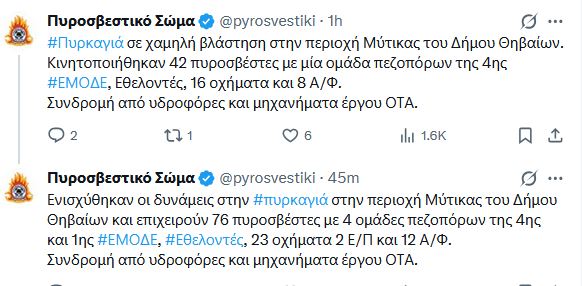 mytika2.JPG