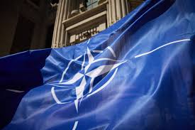 nato_19.jpg