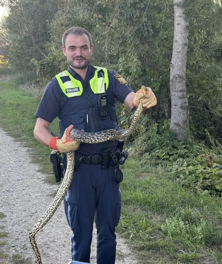 politist-anaconda-Dunare-862x1024.webp