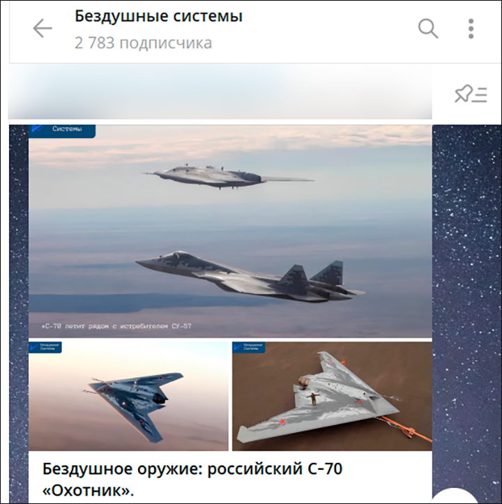 pulya_1.png