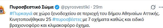 pyrkagia_1.JPG