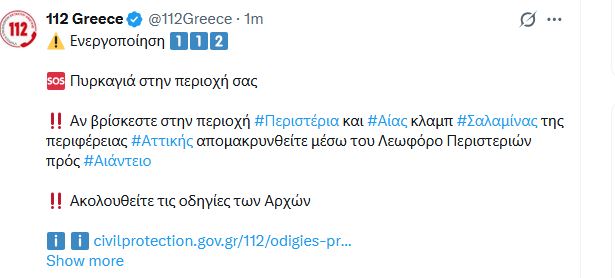 salamina3.JPG