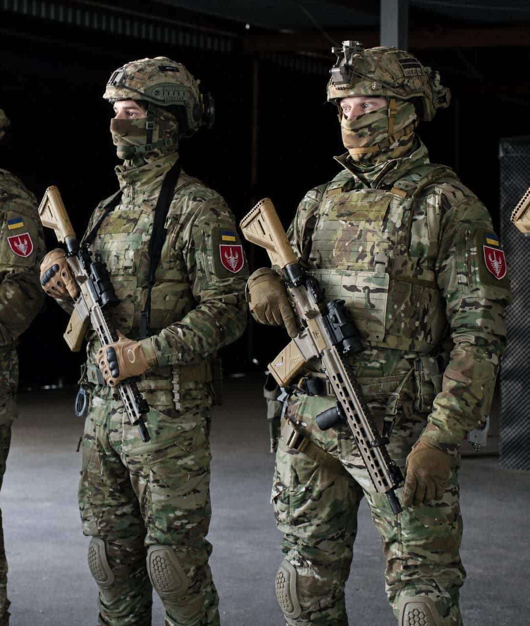 skorpion-bijtsi.jpg