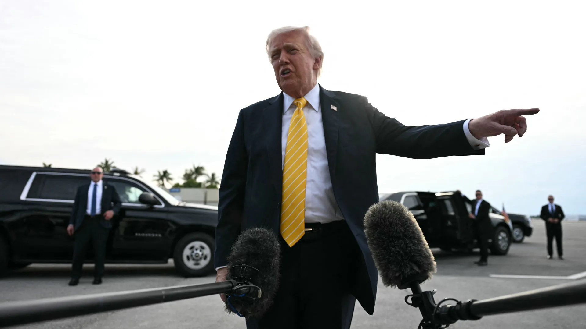 trump_17.webp