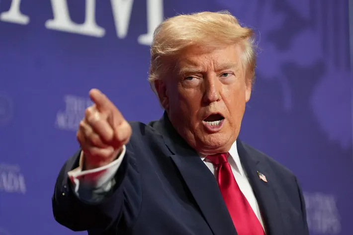 trump_36.webp