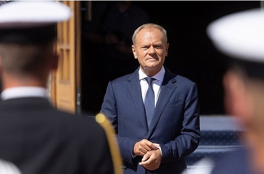 tusk_2.jpg