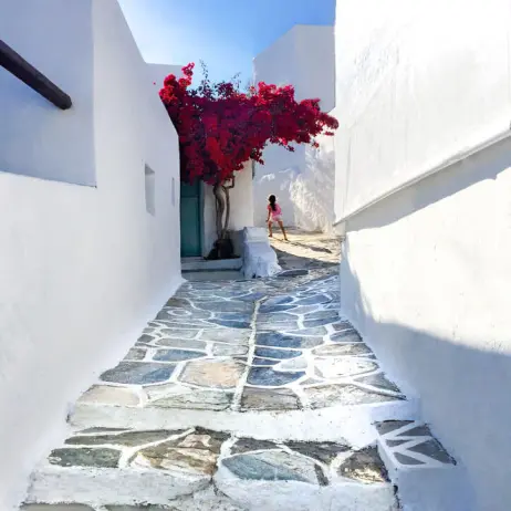 vernikou_sifnos_723x723.webp