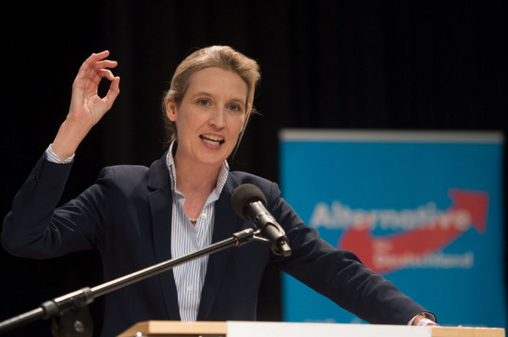 weidel_2.jpg