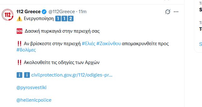 z1123.JPG