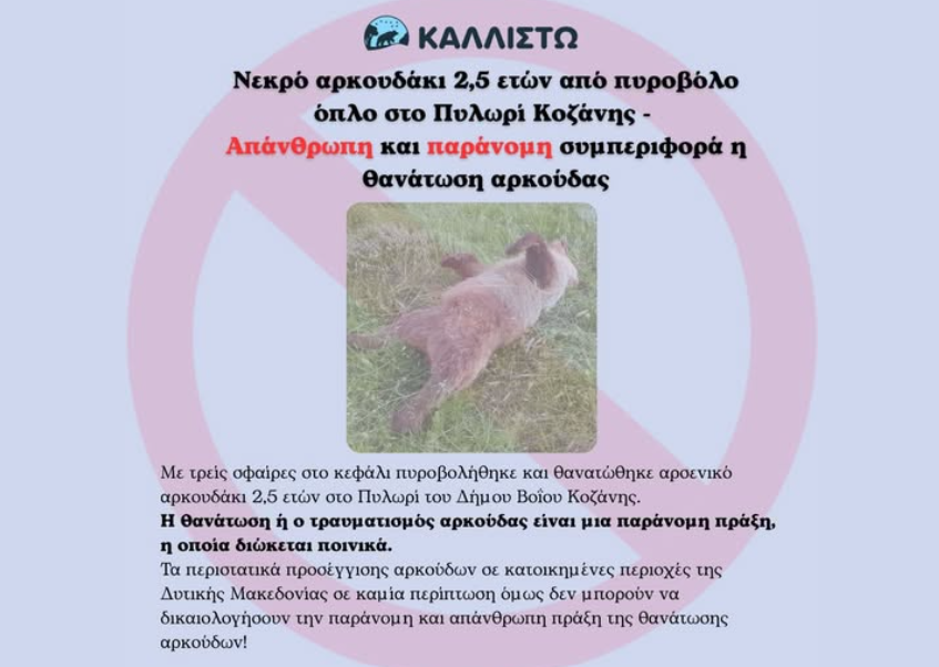 Στιγμιότυπο_οθόνης_2026-06-12_163607.png