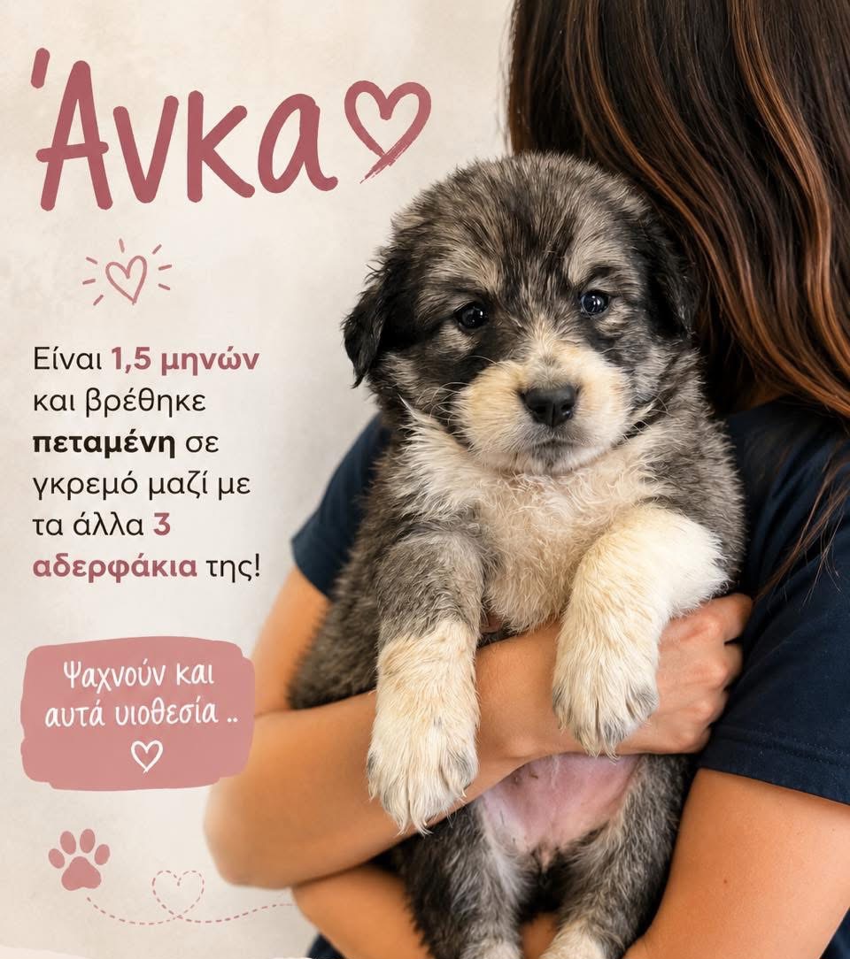 υιοθεσια_φωτο.jpg