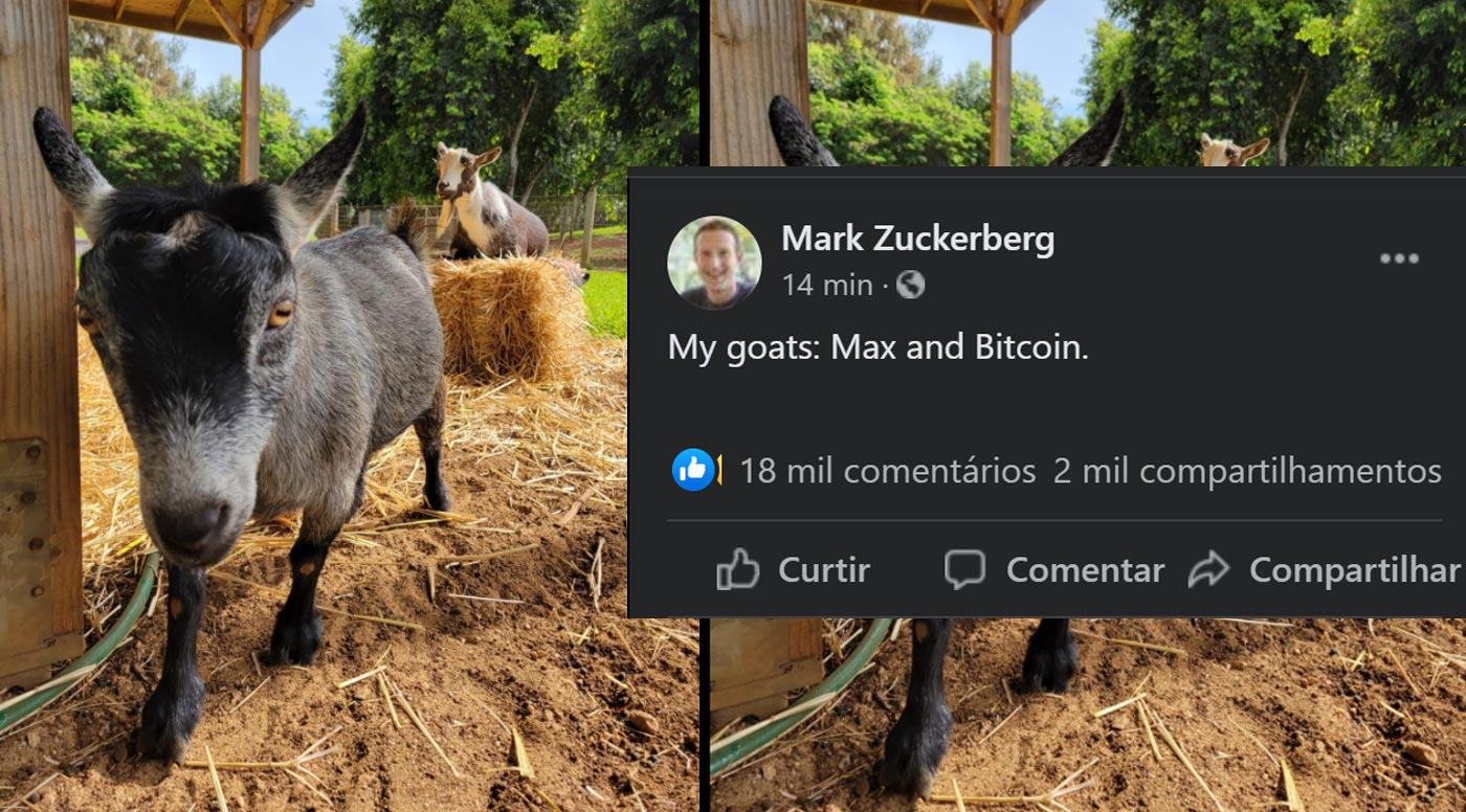 Zuck-Max-Bitcoin.jpg