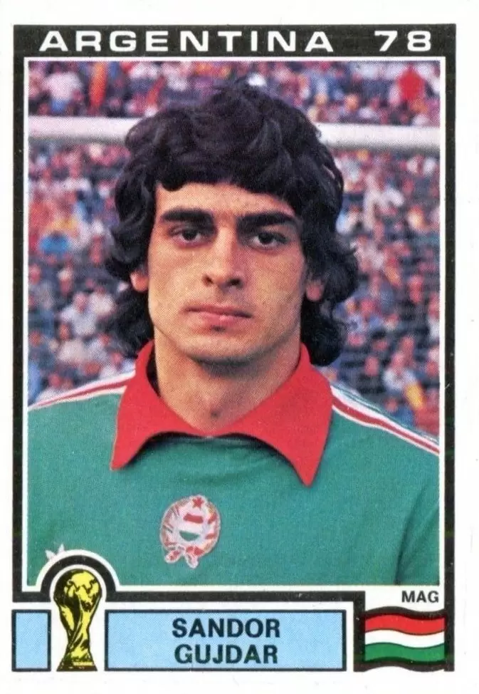 argentina-78-world-cup-sandor-gujdar-hungary-063-001.webp