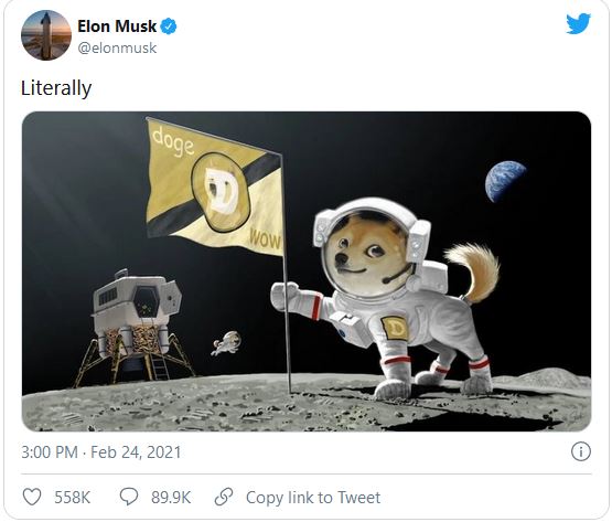 musk_doge.JPG