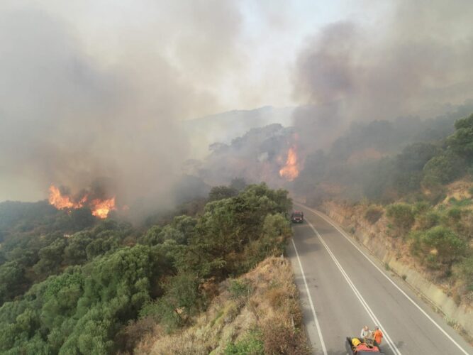 Μεγάλης έκτασης φωτιά στη Χίο - Στις αυλές των σπιτιών οι φλόγες -  Εκκενώσεις οικισμών - Ενισχύονται οι δυνάμεις της Πυροσβεστικής