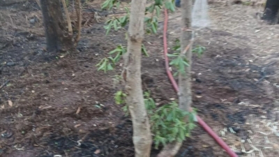 Πεδίον του Άρεως: Δύο απόπειρες εμπρησμού – Συνελήφθη και ανακρίνεται ύποπτη