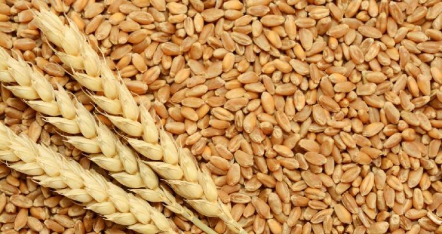 Ρωσία: Έστειλε 25.000 τόνους σιταριού στην Β.Κορέα, που έχει έλλειψη τροφίμων λόγω ξηρασίας