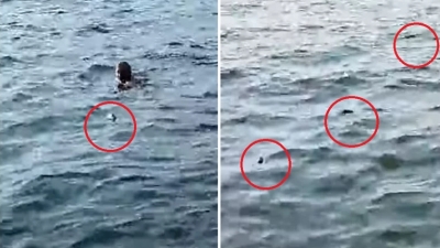 Χάος στην Θεσσαλονίκη: Τουρίστας κολυμπά στον Θερμαϊκό ανάμεσα σε... ψόφια ποντίκια